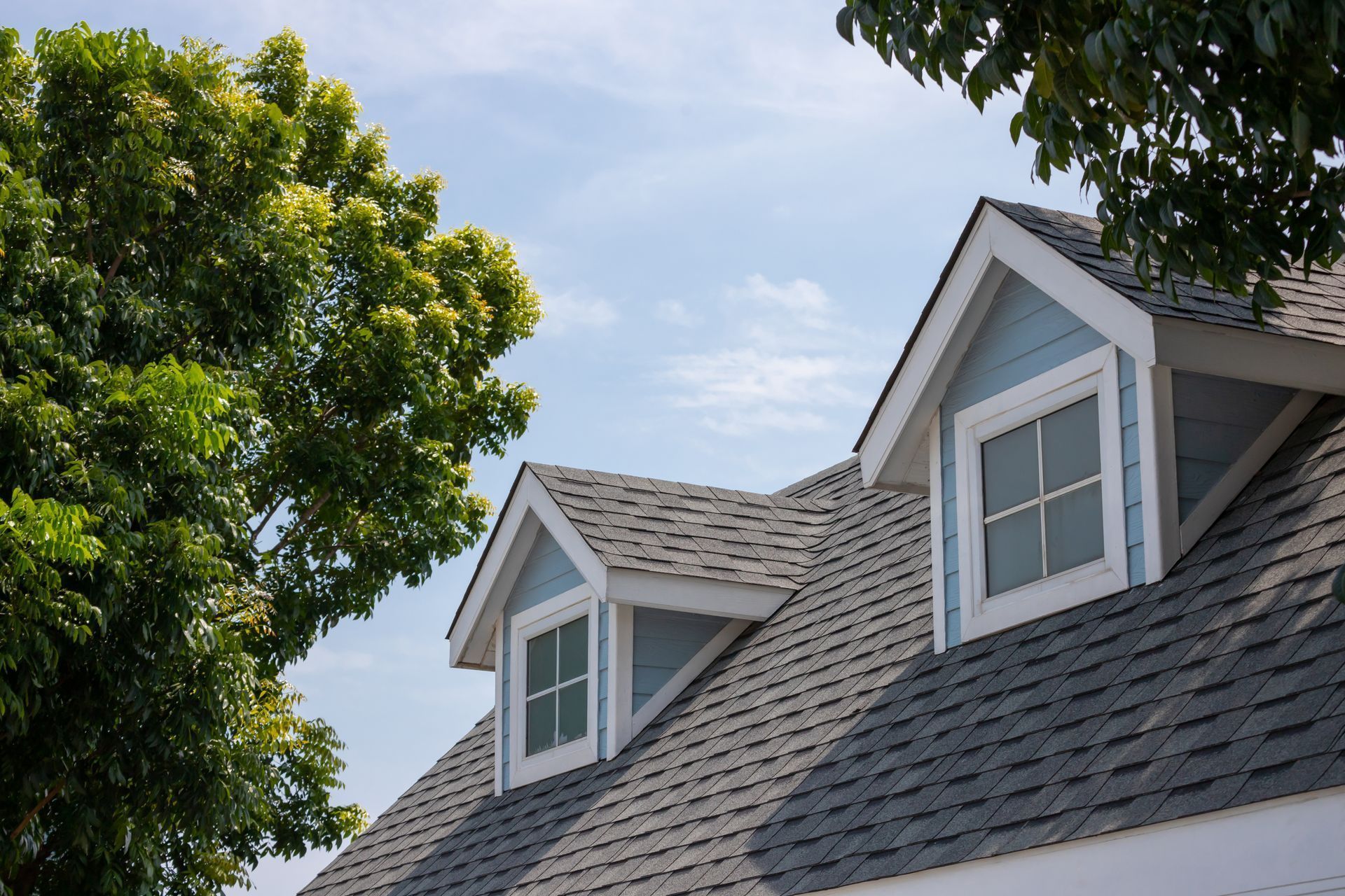 Two dormer windows with blue siding sit on a shingled roof next to a leafy green tree against a clear sky.