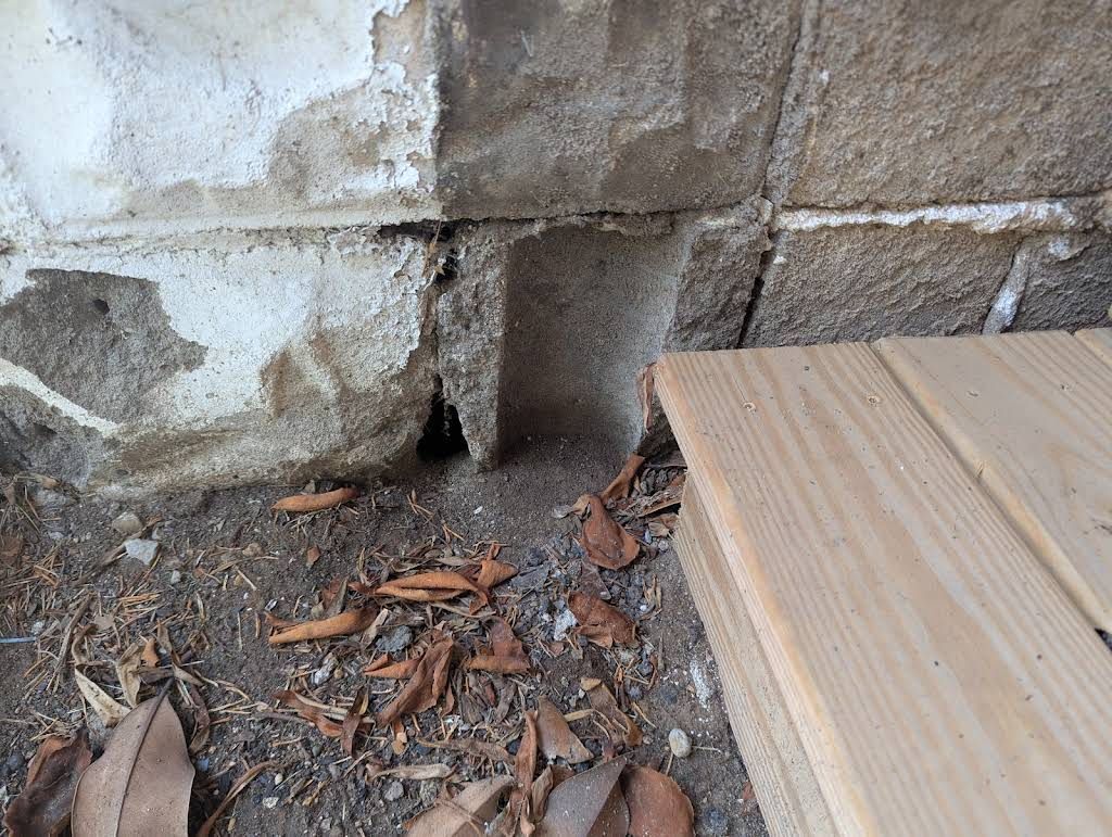 Cracked concrete wall base beside soil, leaves, and a wooden board outdoors
